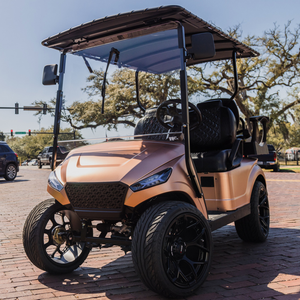 Storm Body Kit for E-Z-GO TXT Golf Carts